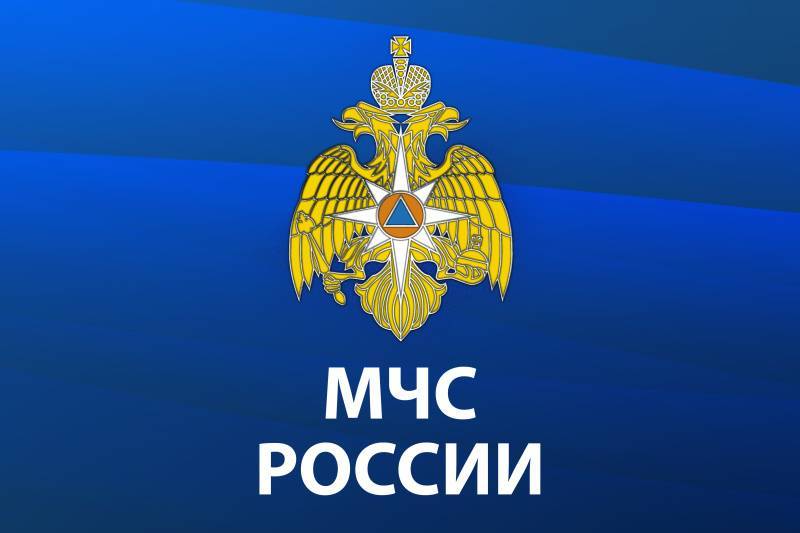 В МЧС России разработали мобильное приложение – личный помощник при ЧС 